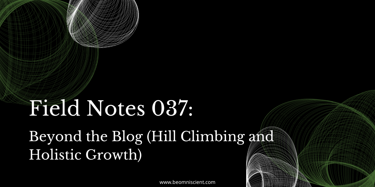 beyond the blog (hill climbing and holistic growth)