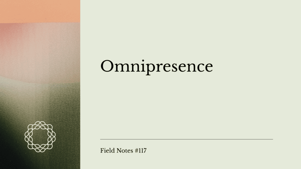 Field Notes #117_ Omnipresence