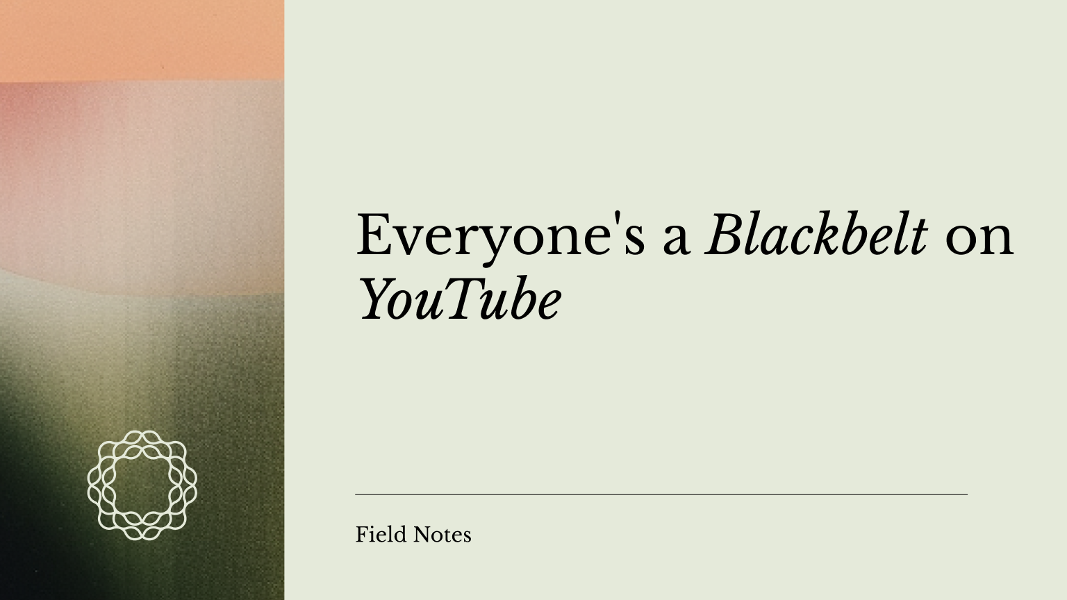 Everyone's a Blackbelt on YouTube