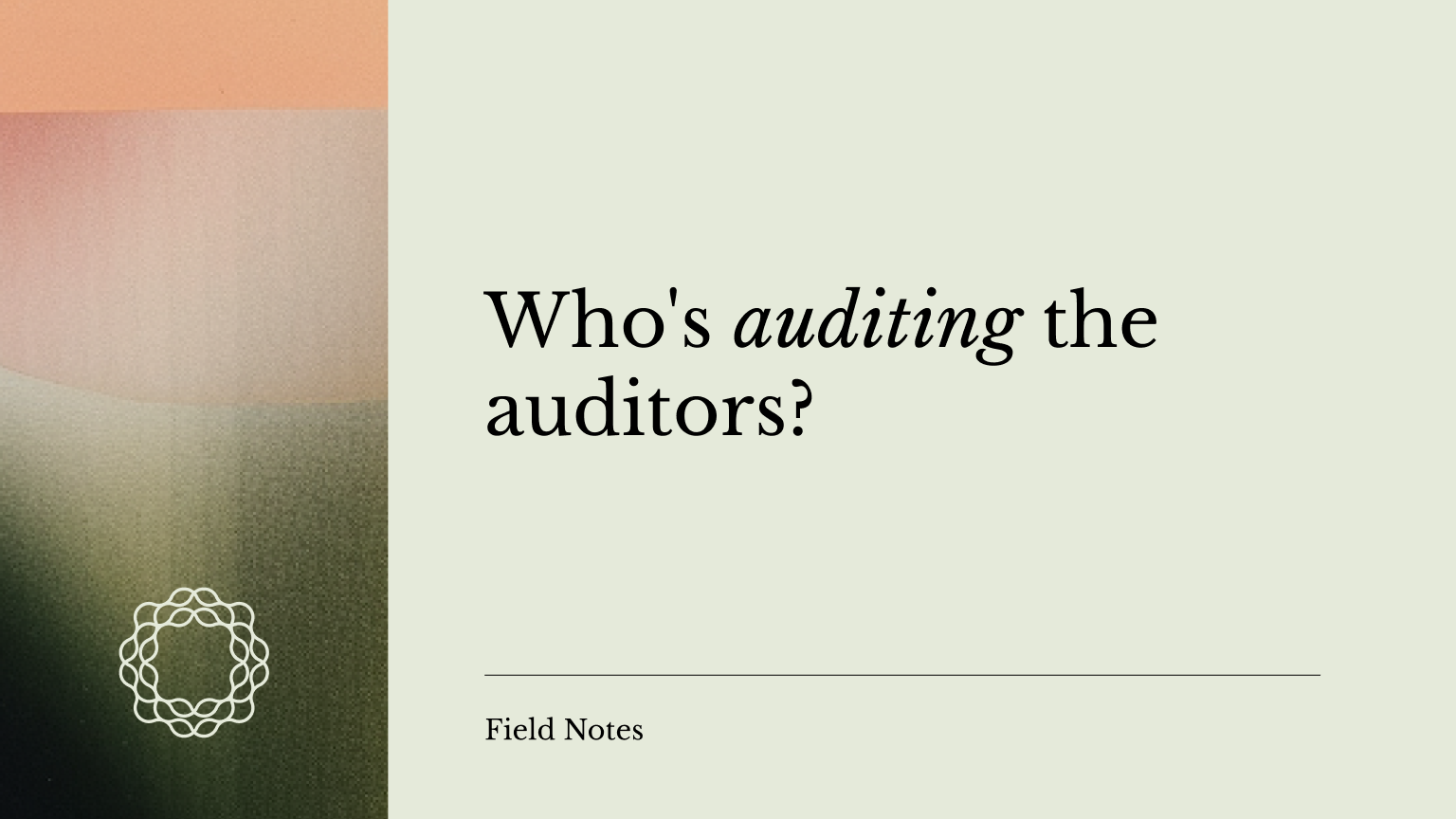 Who's auditing the auditors?