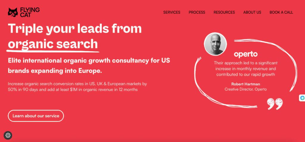 Flying Cat's home page